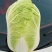 东北大白菜