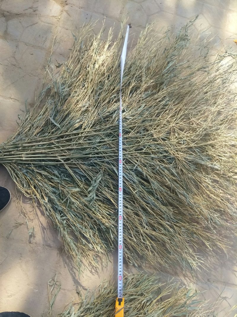 大扫把
