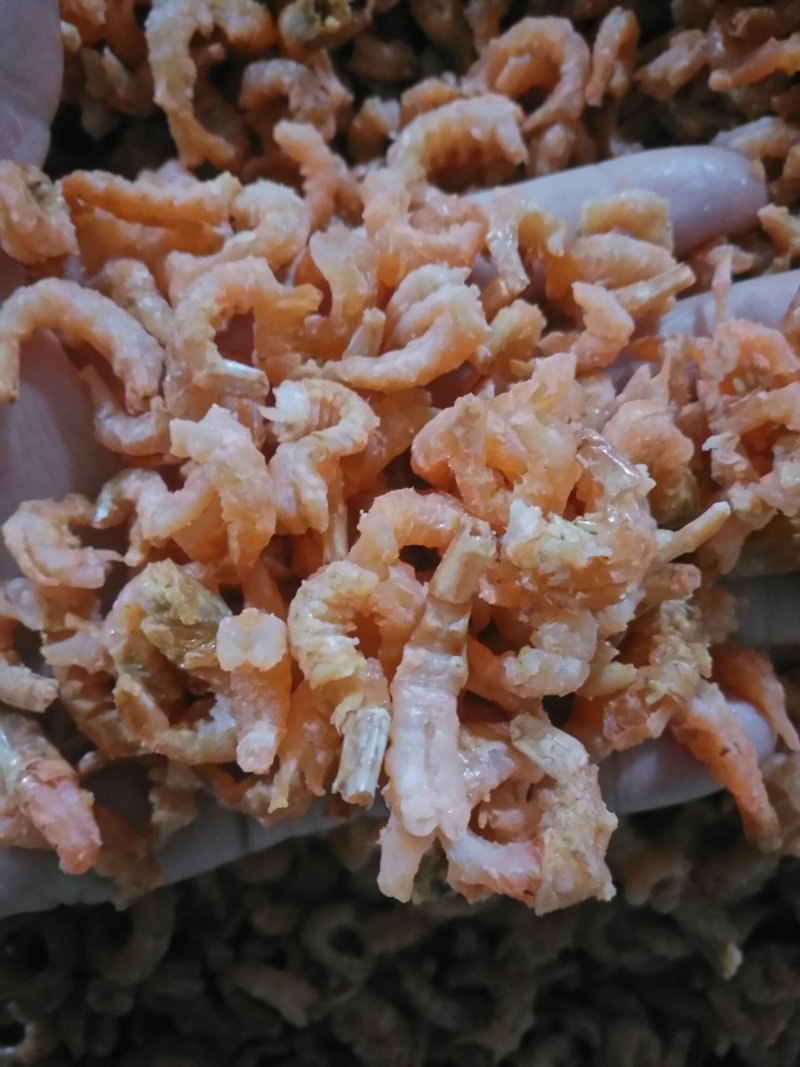 精品海米，干度好，质量好
