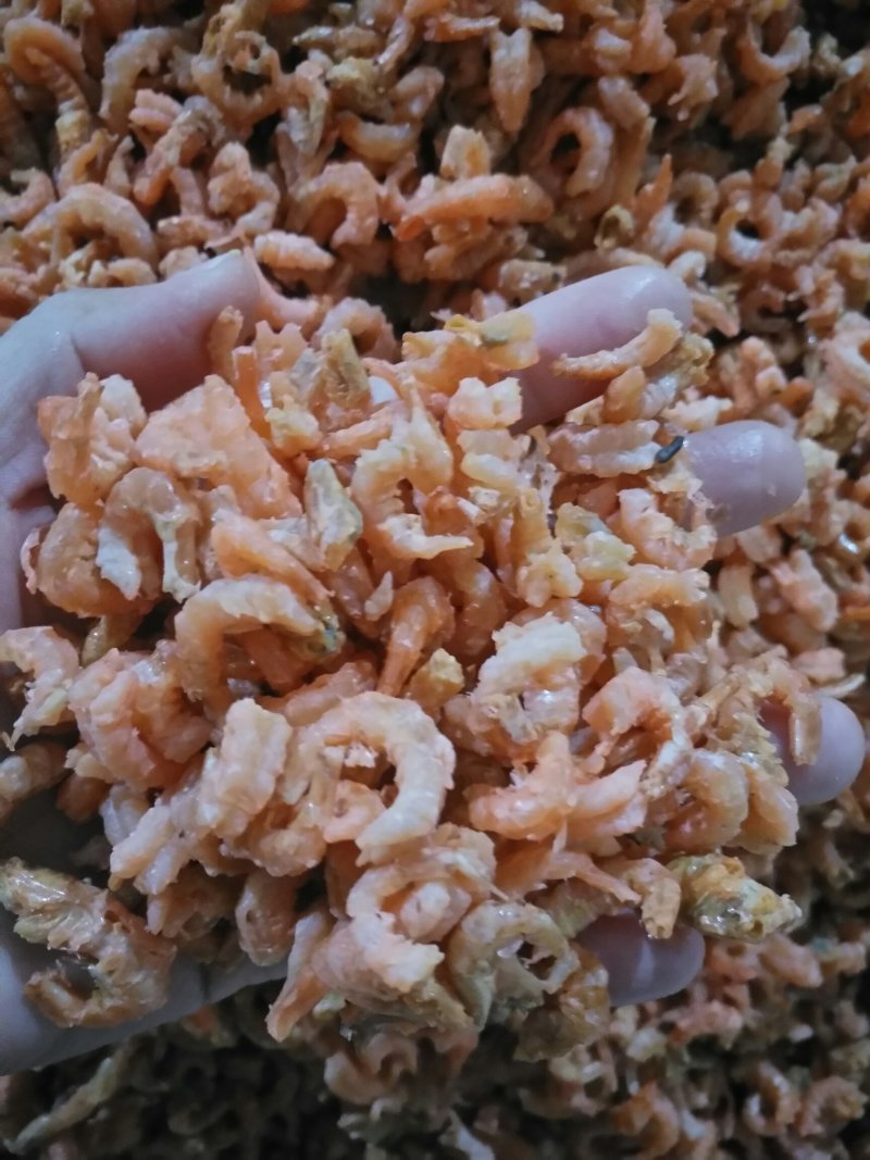 精品海米，干度好，质量好