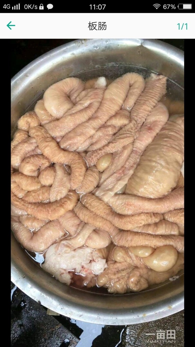 驴肉