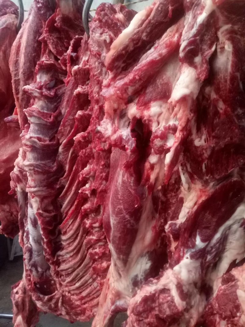 驴肉