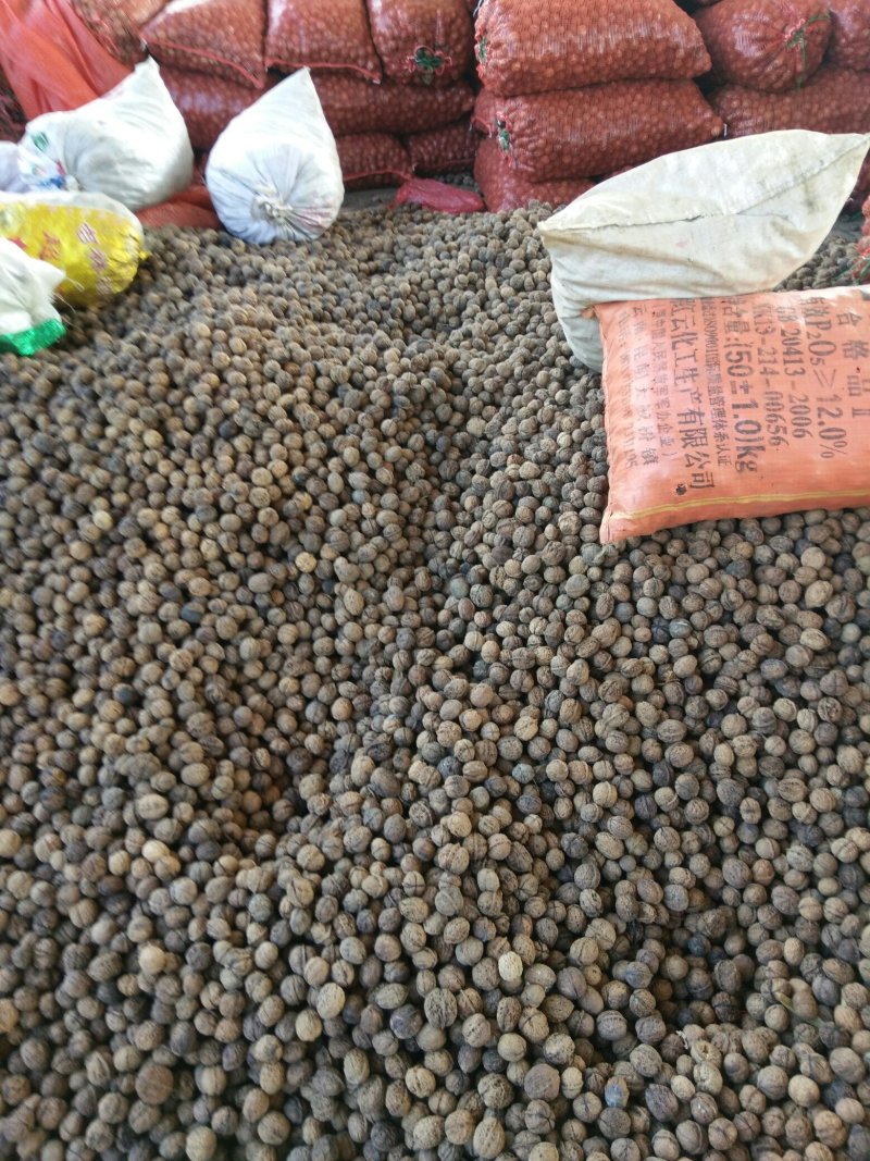 夹核桃