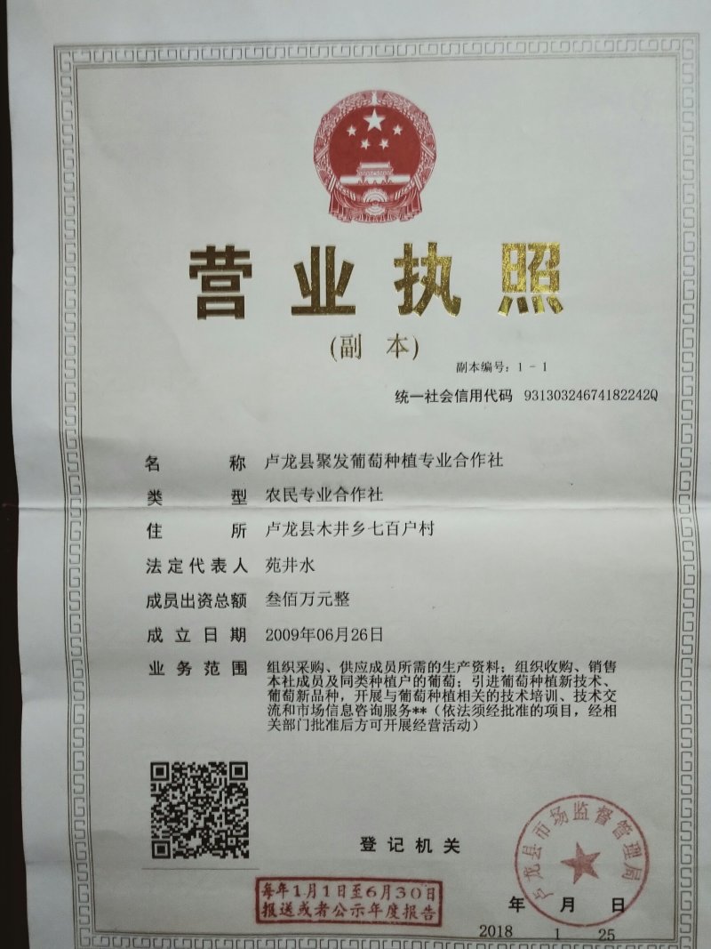巨峰葡萄1~2斤