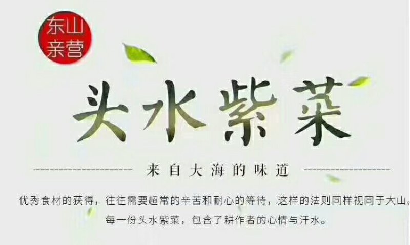 东山特产，头水紫菜