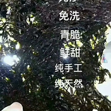 东山特产，头水紫菜