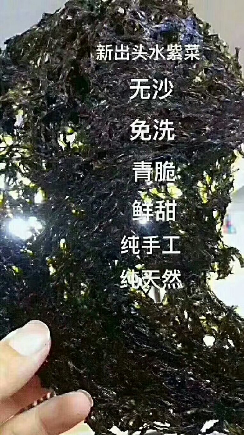 东山特产，头水紫菜