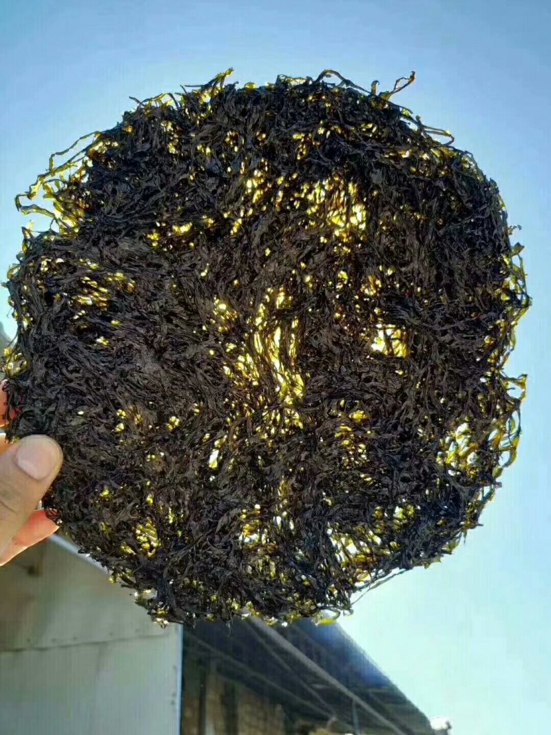 东山特产，头水紫菜