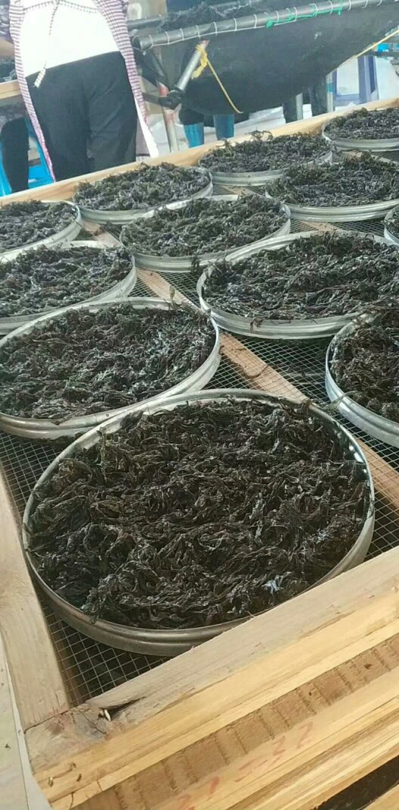 东山特产，头水紫菜