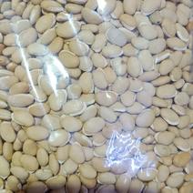 扁豆烘焙扁豆食用的批发零售各种规格中药材干扁豆