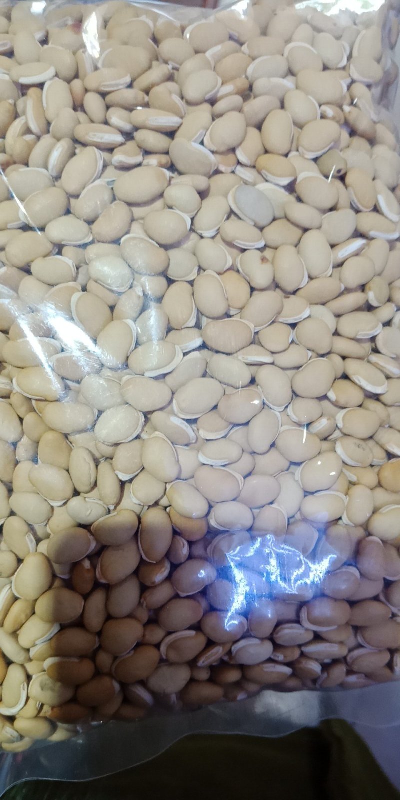 扁豆烘焙扁豆食用的批发零售各种规格中药材干扁豆