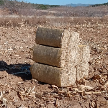出售玉米秸秆草块，牛羊驴专用，每吨500，用用的与我联系