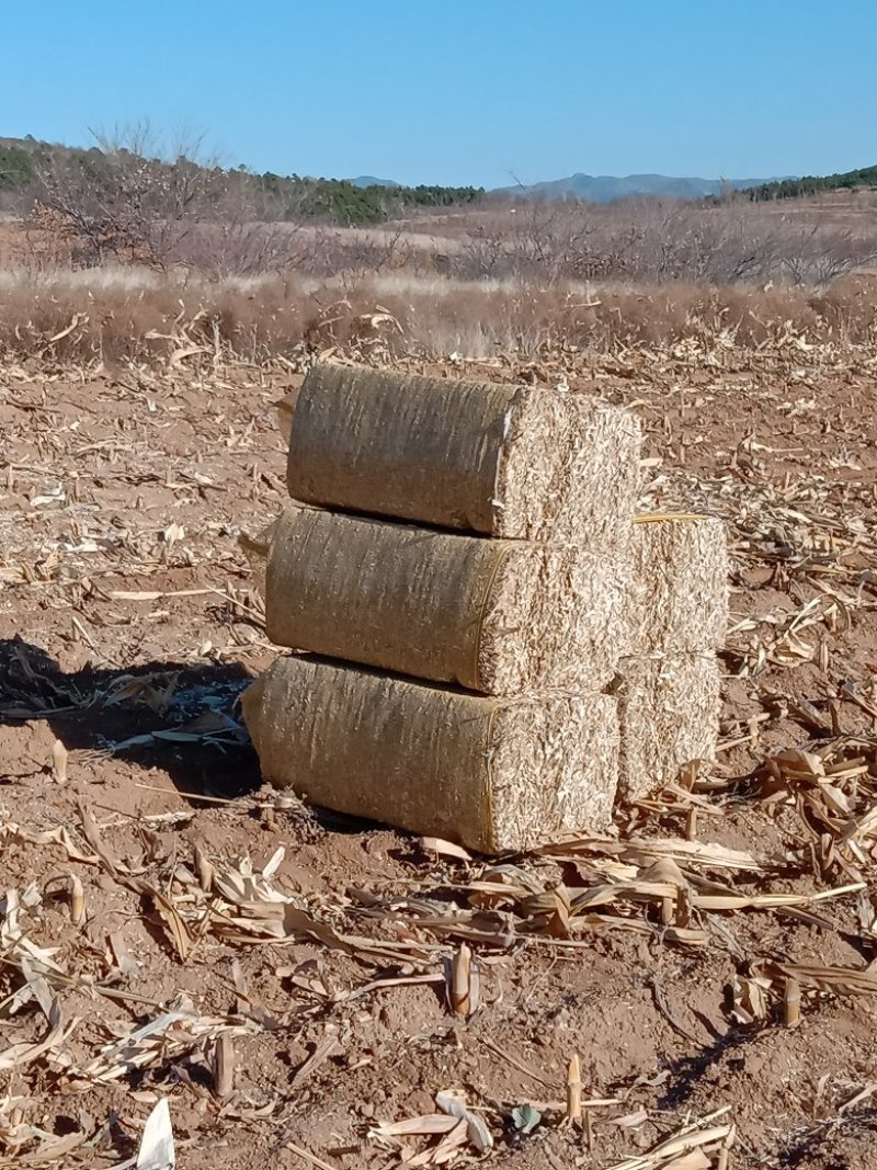 出售玉米秸秆草块，牛羊驴专用，每吨500，用用的与我联系