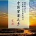 霞浦紫菜
