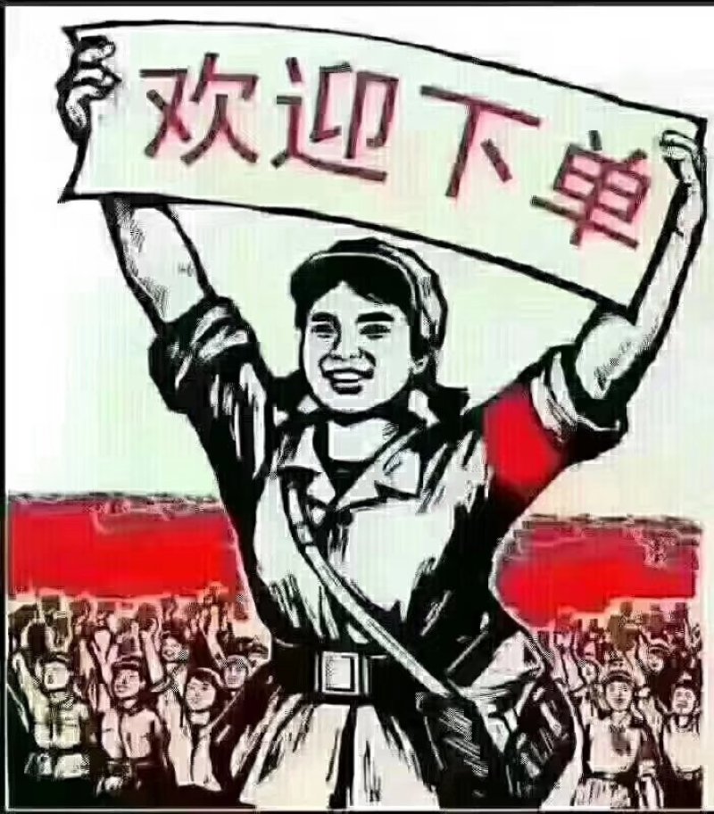 霞浦紫菜