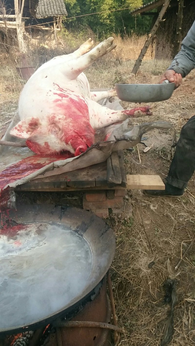 自家杀的猪，腊肉香肠