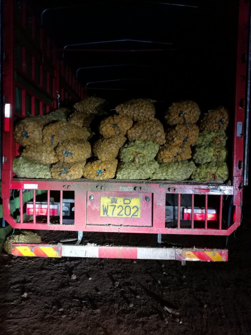 洋姜白皮洋姜新鲜现挖量大价优