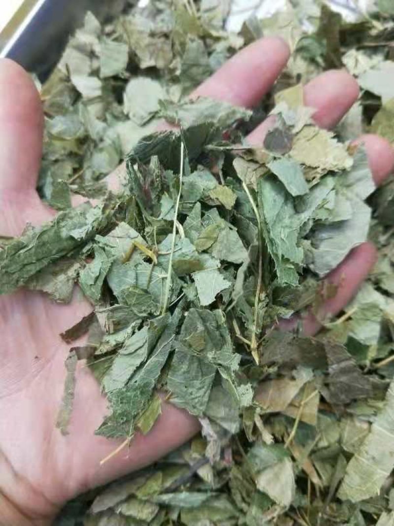 淫羊藿