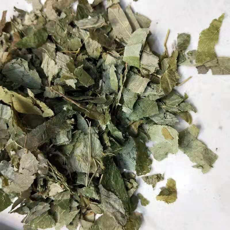 淫羊藿