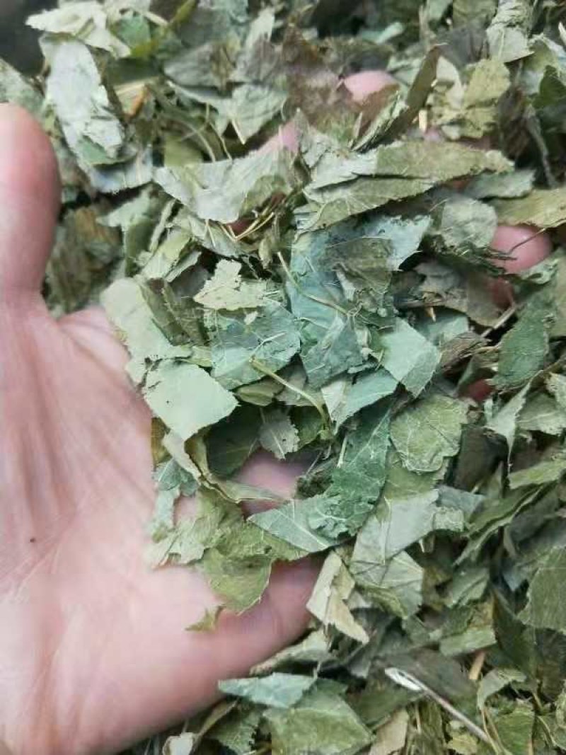 淫羊藿