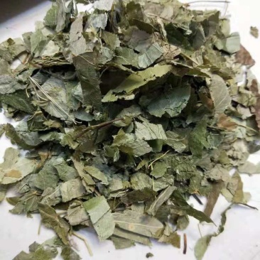 淫羊藿