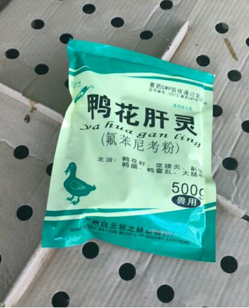 大种马岗鹅苗包防疫疫苗包成活