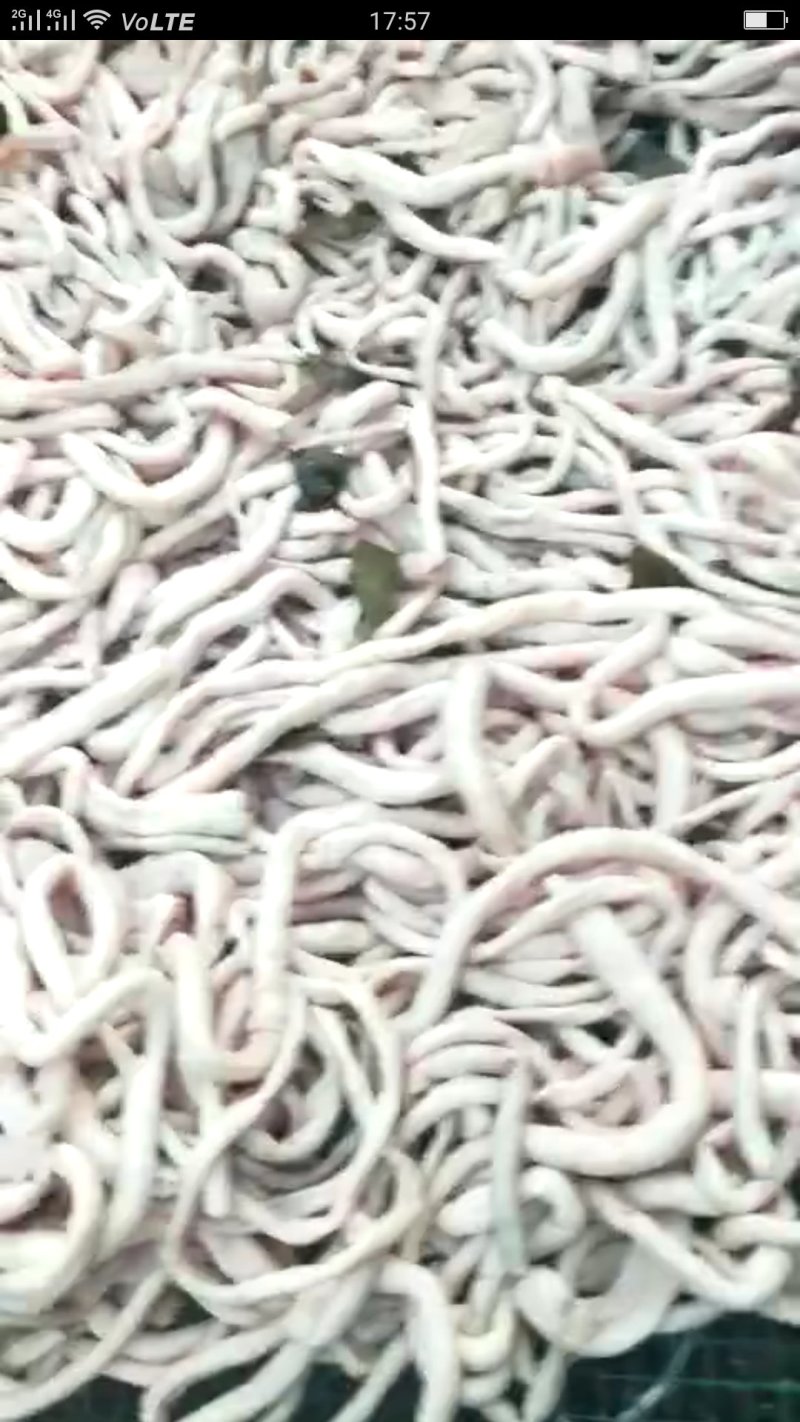 清真纯熟羊肠