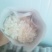 白菊。黄菊