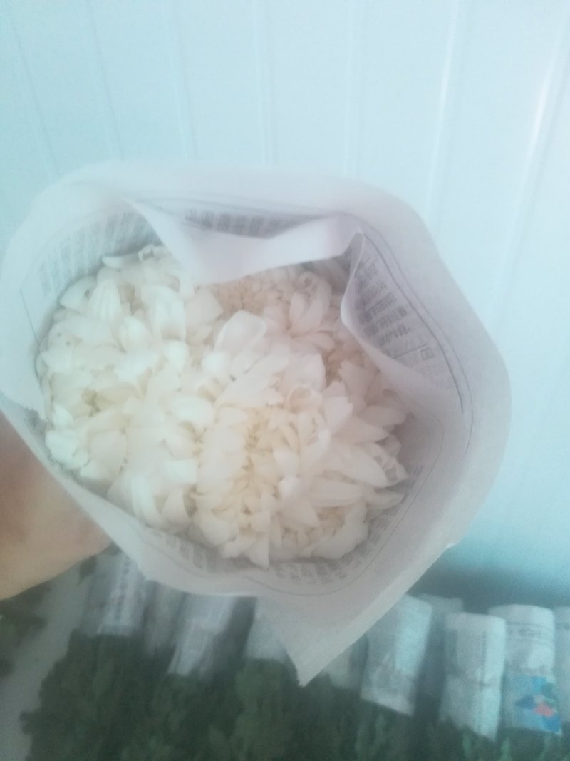 白菊。黄菊