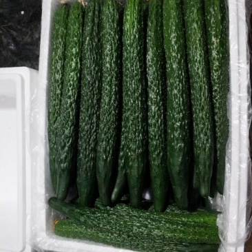 黄瓜