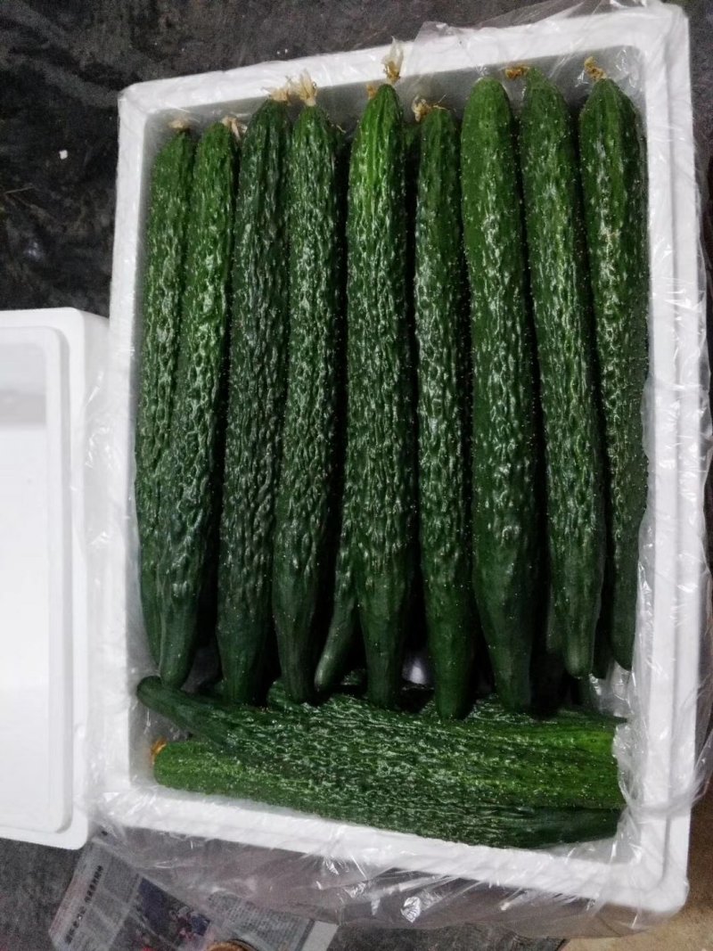 黄瓜
