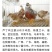 芦丁鸡种鸡
