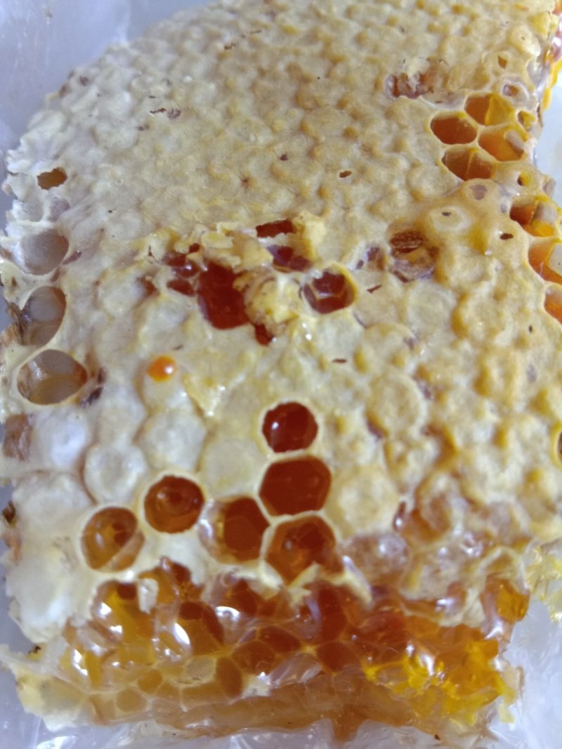 真正纯野生蜂蜜