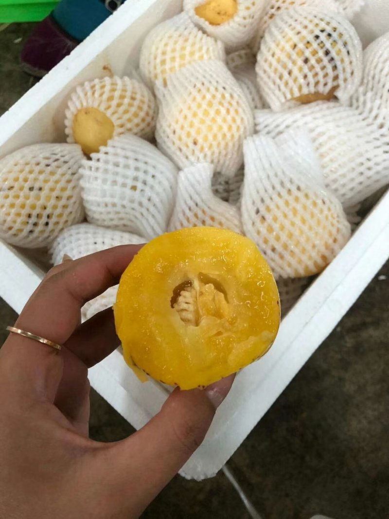人参果