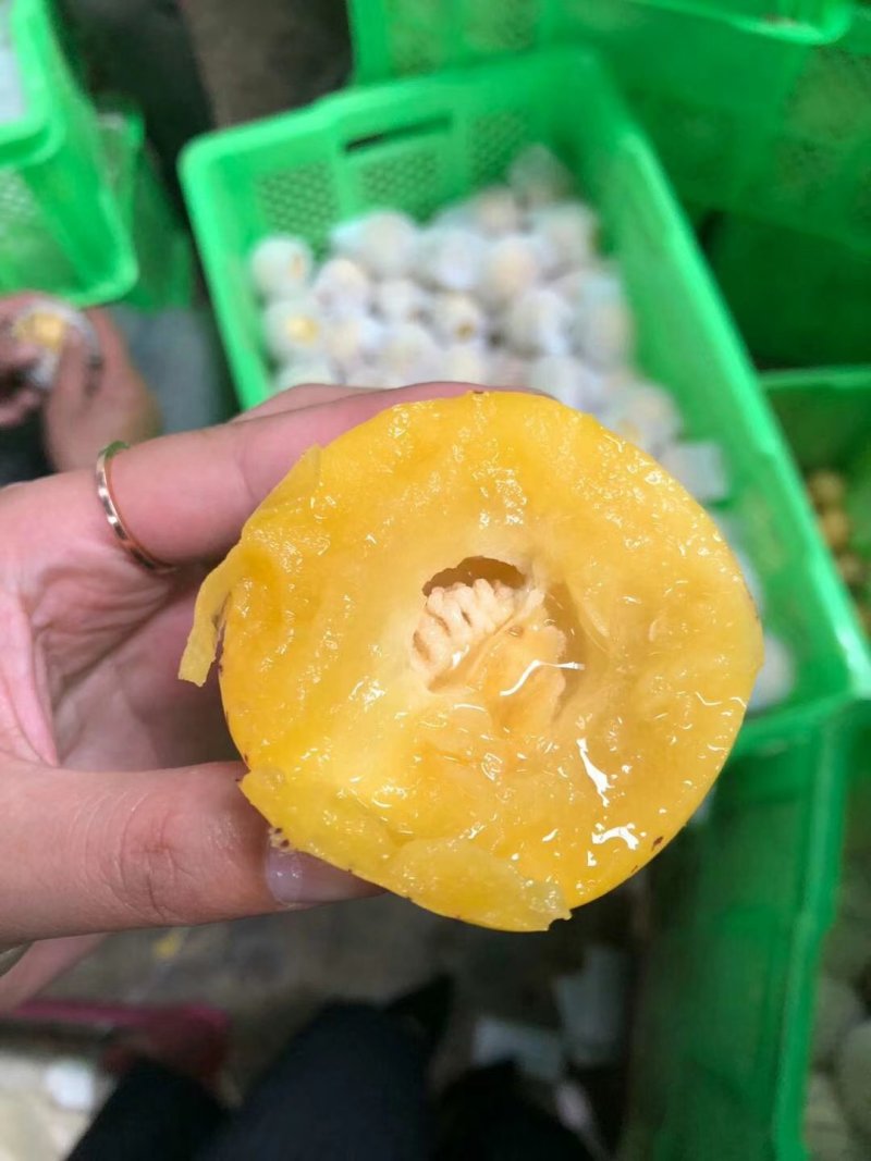 人参果