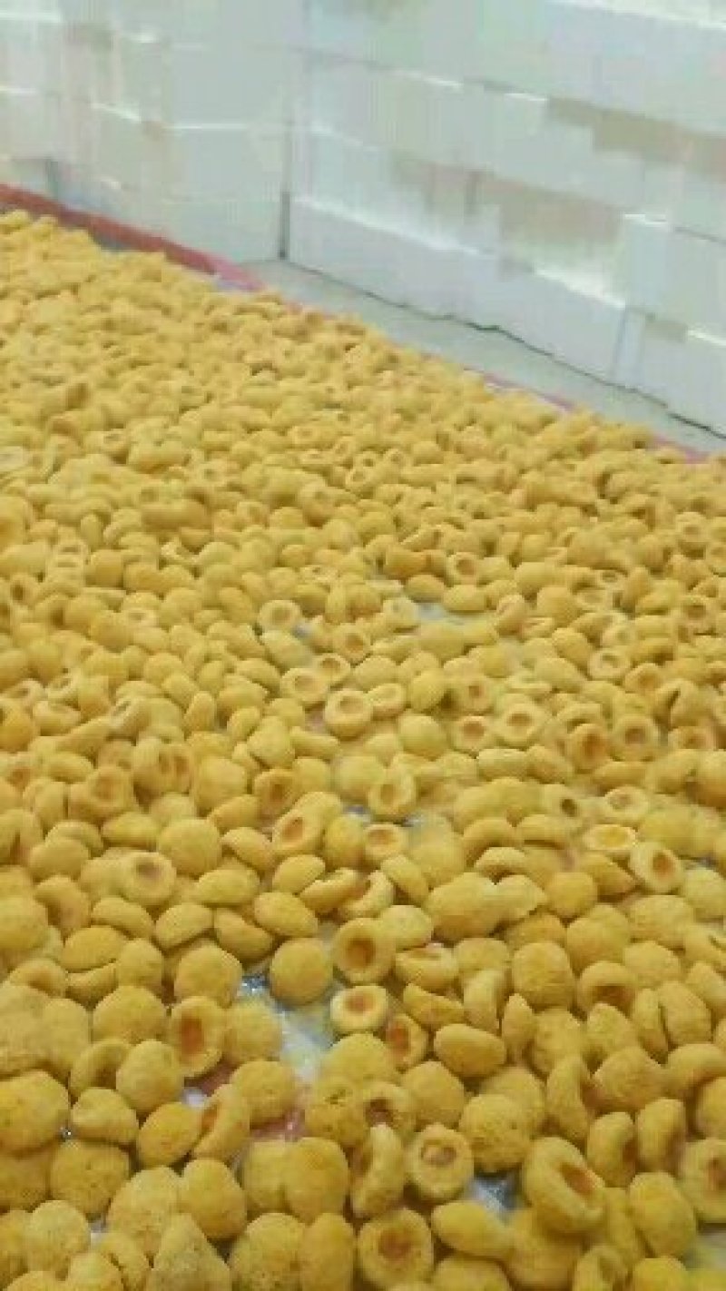 新货丑耳-糯耳，干品食用菌丑耳，一手货源，产地直发