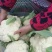 有机花菜:有机花菜。