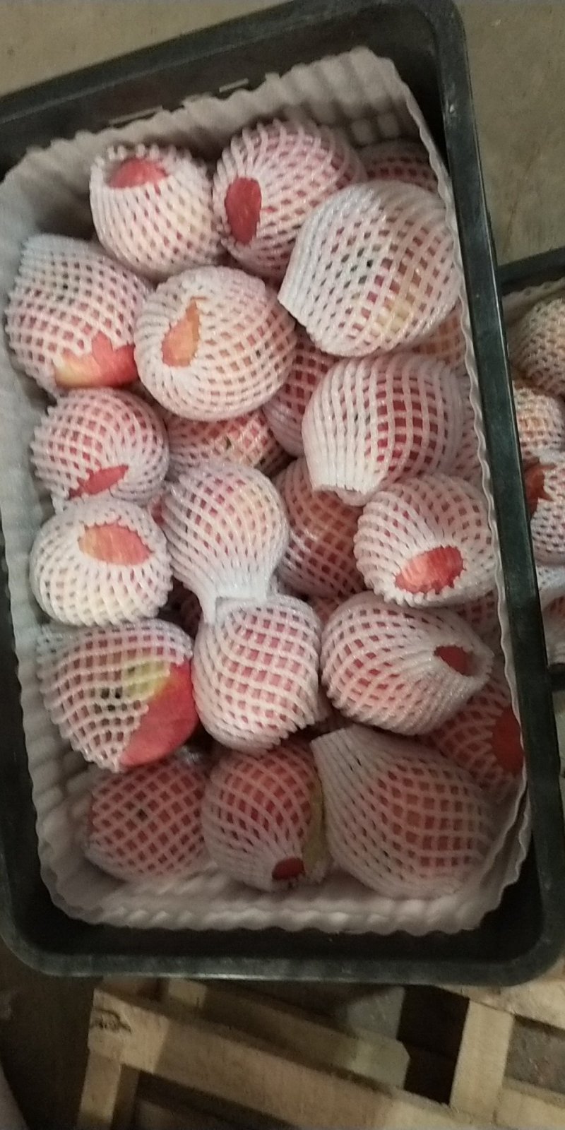 红富士苹果