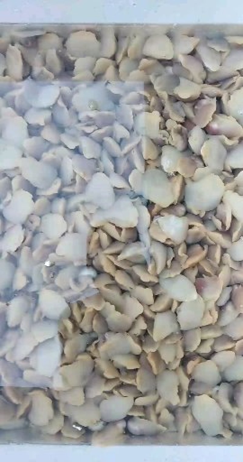 红香螺漂冻