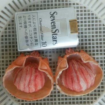 蟹宝