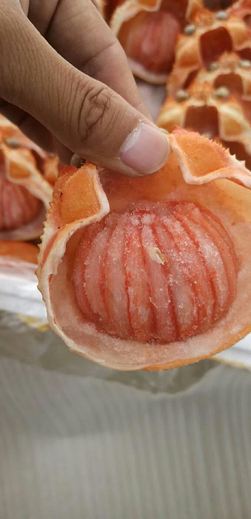蟹宝