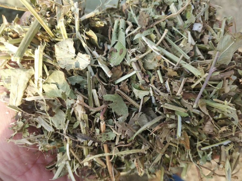 河南精品花生秧草料饲料原料牛草羊草诚信经营一手货源