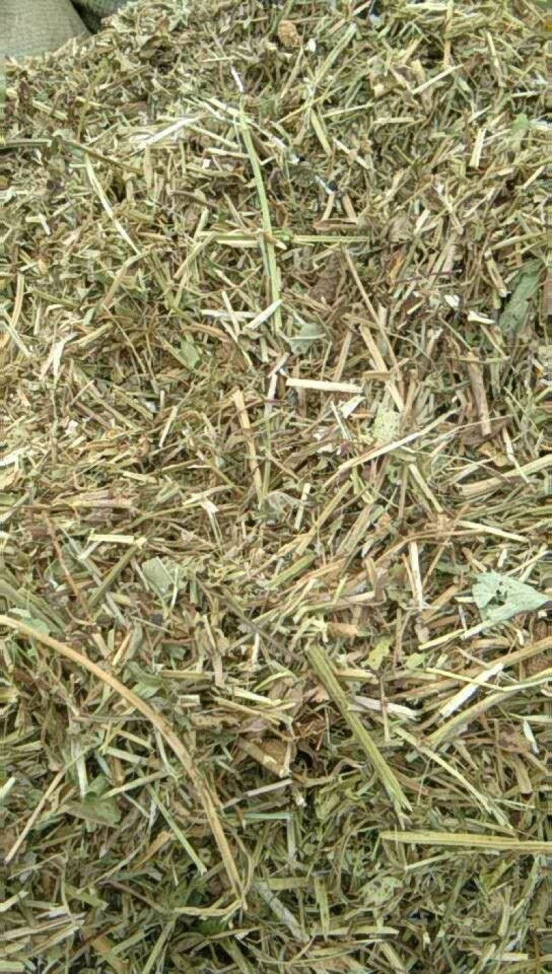 河南精品花生秧草料饲料原料牛草羊草诚信经营一手货源