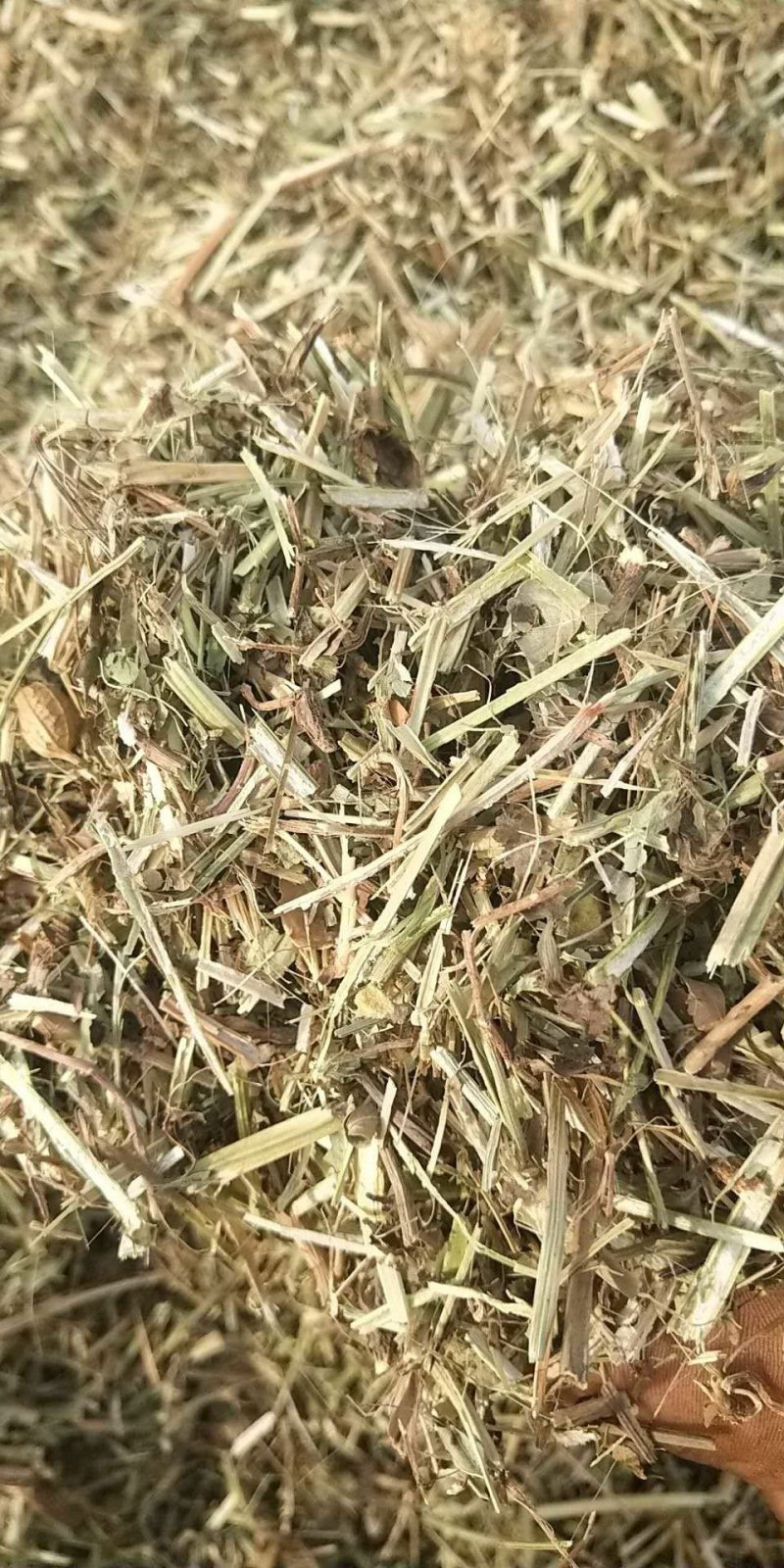 河南精品花生秧草料饲料原料牛草羊草诚信经营一手货源