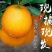 脐橙