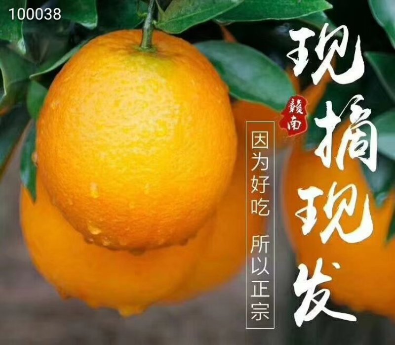 脐橙