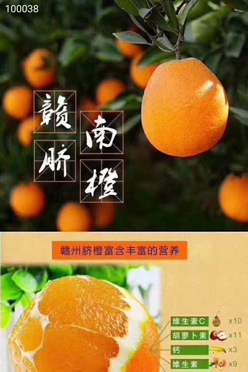 脐橙