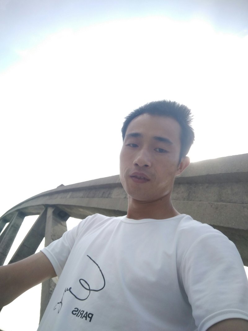 脐橙