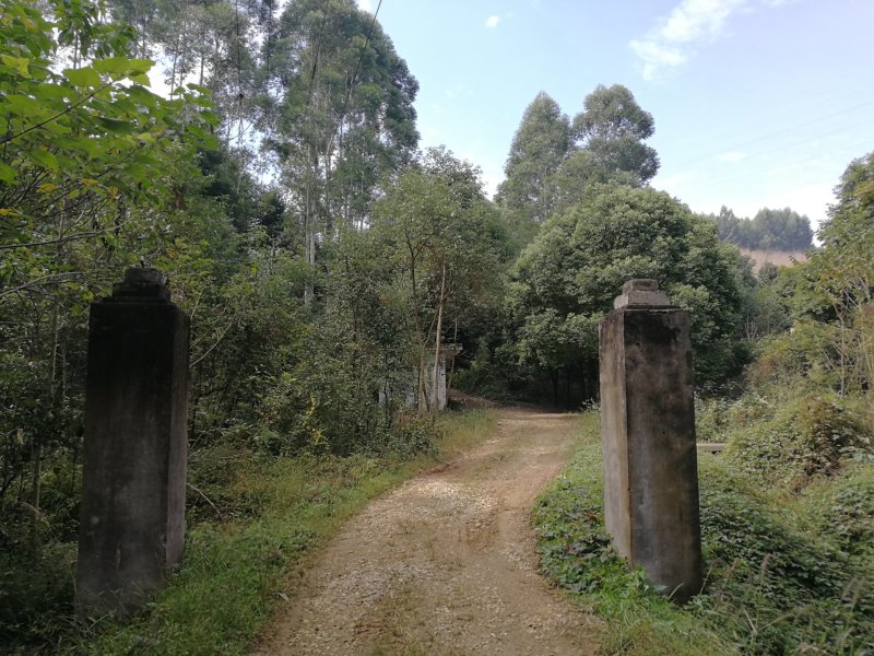 崇州公议乡100亩林地出租
