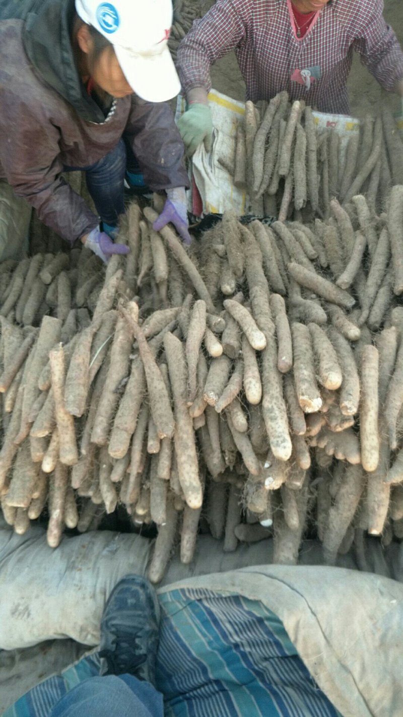 小山药，下脚料